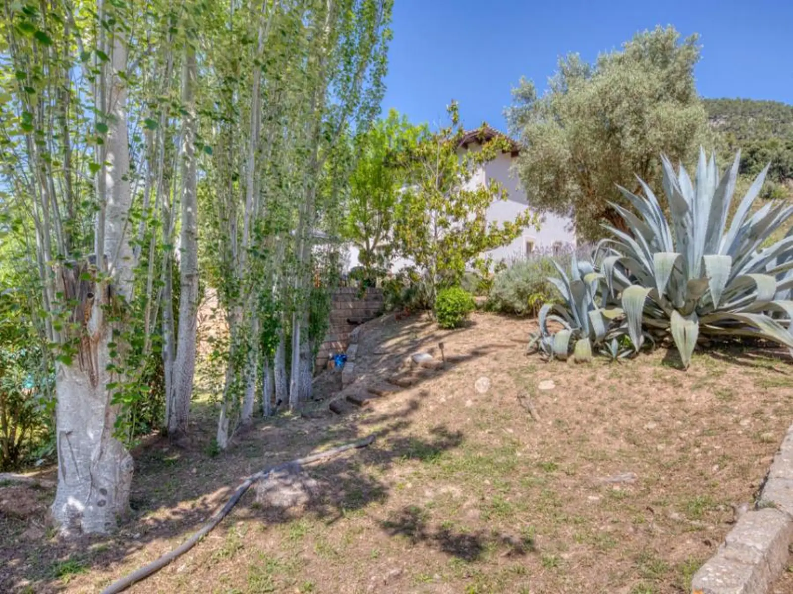 LJ-170_Luxury_Villa_Esporles_Pueblo__photo_39