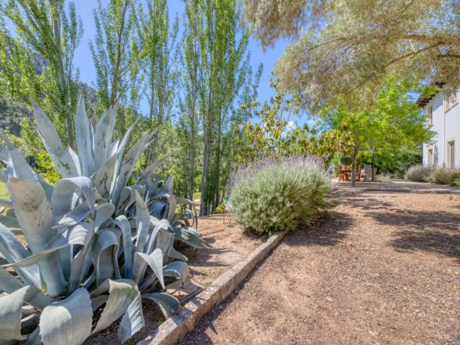 LJ-170_Luxury_Villa_Esporles_Pueblo__photo_52