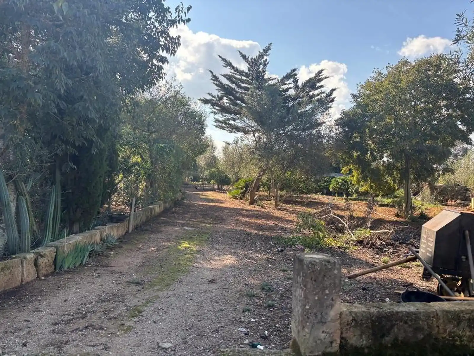 LJ-573_Single_family_house_Algaida__photo_16