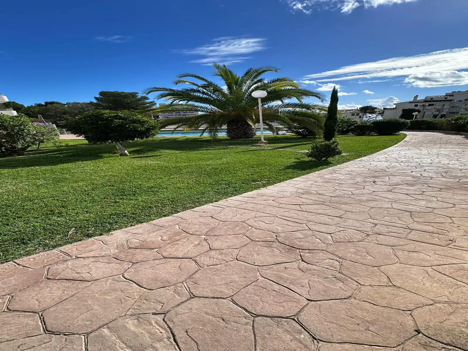 WhatsApp Image 2026-03-09 at 12.33.29