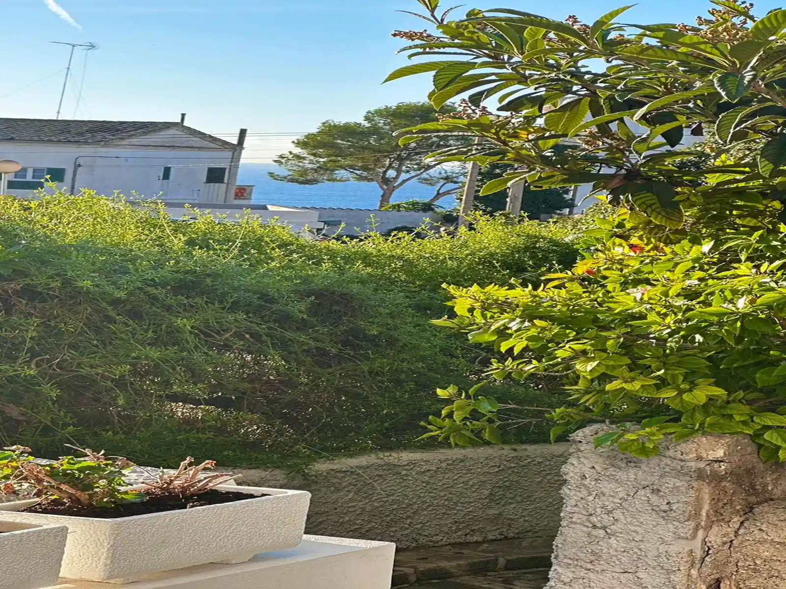 WhatsApp Image 2026-03-09 at 12.33.30 (2)